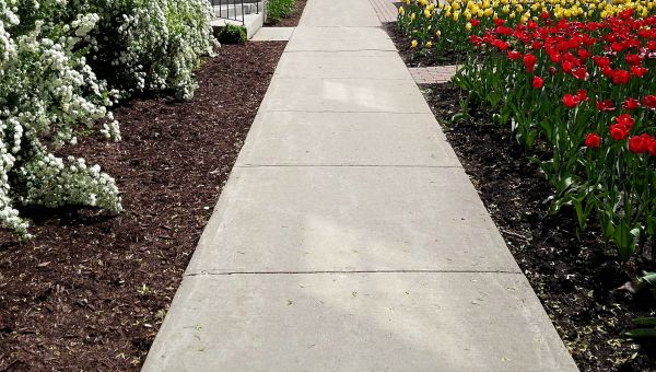 Cement Sidewalk Installation in Eugene