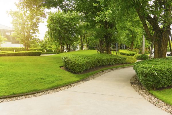 Walkway Concrete Installation in Eugene