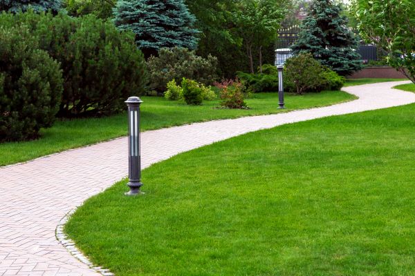 Backyard Sidewalk Installation in Eugene