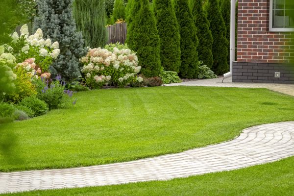 Landscape Walkway Installation in Eugene